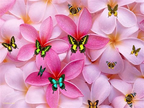 cute pc backgrounds for girls.